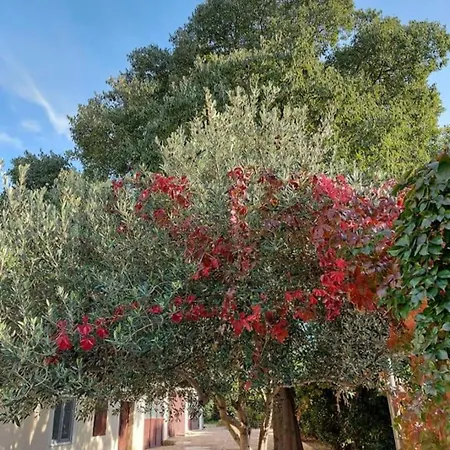 Apartmán Jelicic Biograd Na Moru