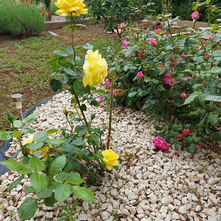 Apartmán Jelicic Biograd Na Moru