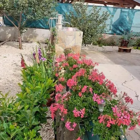 Jelicic Apartmán Biograd Na Moru