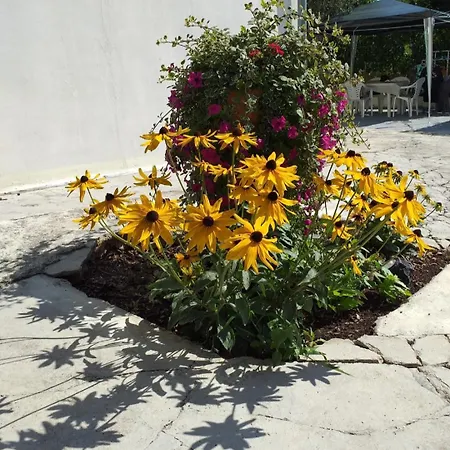 Apartmán Jelicic Biograd Na Moru
