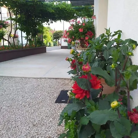 Apartmán Jelicic Biograd Na Moru