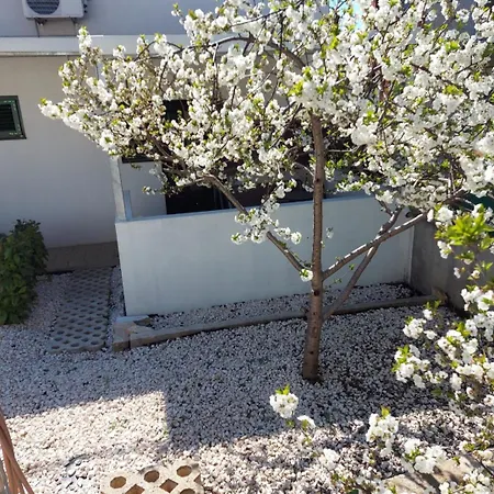 Jelicic Apartmán *