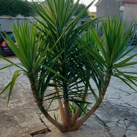 Apartmán Jelicic Biograd Na Moru