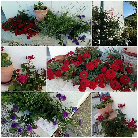 Apartmán Jelicic Biograd Na Moru