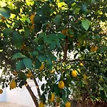 Apartamento Jelicic
