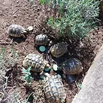 Jelicic Apartamento