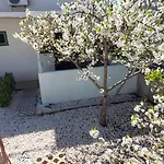 Jelicic Apartamento *