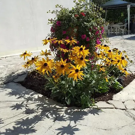 Apartment Jelicic Biograd Na Moru