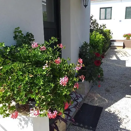 Jelicic Apartment