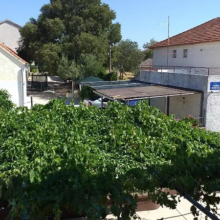 Apartment Jelicic