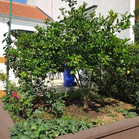 Jelicic Apartment
