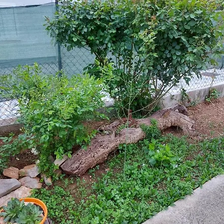 Jelicic Apartment Biograd Na Moru