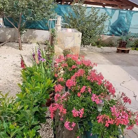 Apartment Jelicic Biograd Na Moru