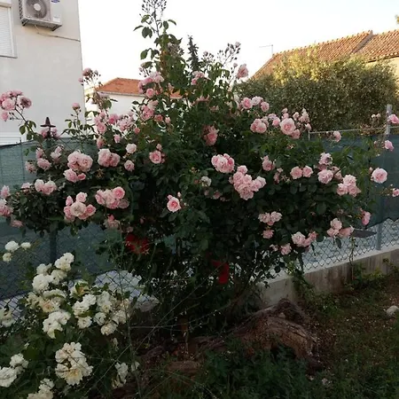 Jelicic Apartment *