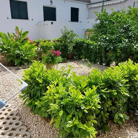Apartment Jelicic