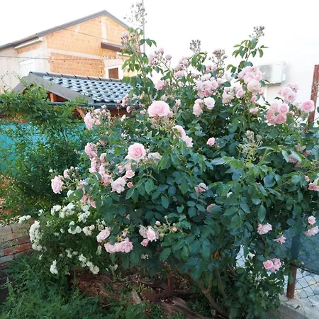 Apartment Jelicic Biograd Na Moru