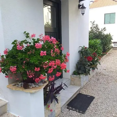 Apartment Jelicic *