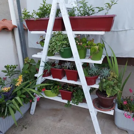 Jelicic Apartman Biograd na Moru