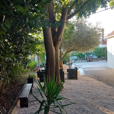 Jelicic * Biograd Na Moru